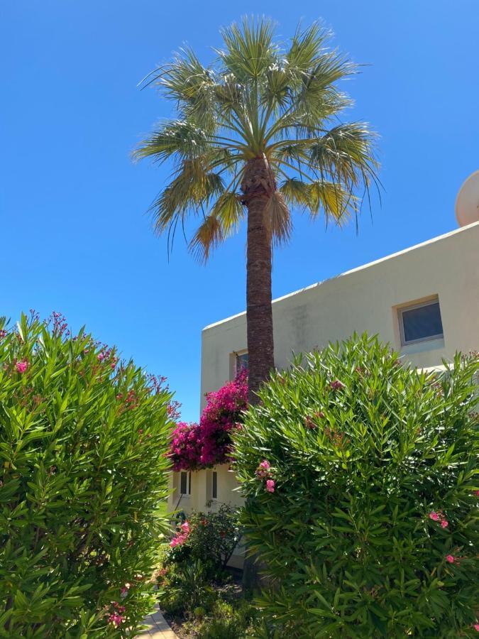 Casa Sacha Villa Carvoeiro  Luaran gambar